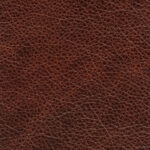 MONTANA CHESTNUT