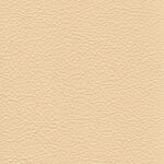 QUEENSBURY IVORY